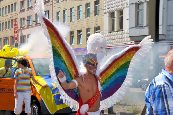 CSD_Demo   084.jpg